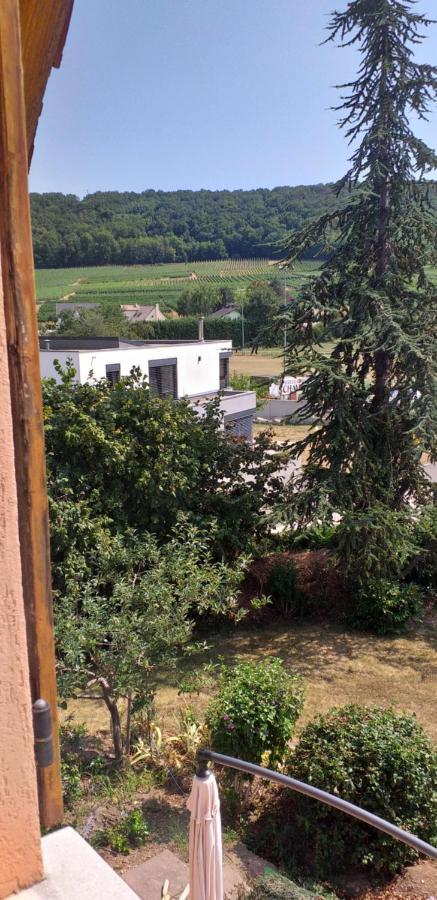 Gite Dans Vignoble Alsacien Westhalten Екстер'єр фото
